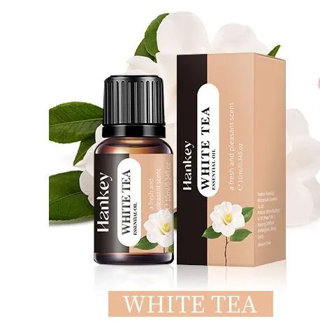 20 Sorten 10ml Ätherische Öle für Aroma-Diffusor Luftbefeuchter Zuhause Wasserlösliches Lavendel Vanille