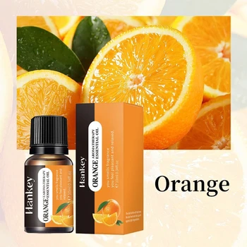 20 Geschmacksrichtungen ätherische Öle für Aromadiffusor, Luftbefeuchter, 10 ml, wasserlöslicher