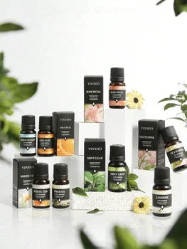 14 Geschmacksrichtungen, 10 ml, ätherische Öle für Aromadiffusor, Luftbefeuchter, wasserlösliches Duftöl
