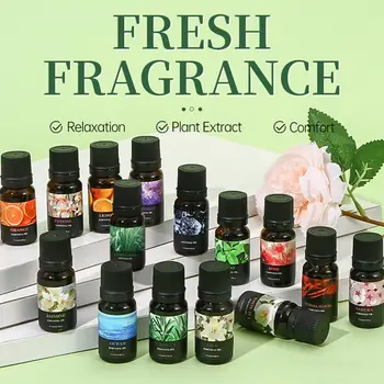 10 ml wasserlösliches Duftöl für Aroma-Diffusor, Luftbefeuchter, Premium-Aromaöl mit Rosen- und Lavendelduft