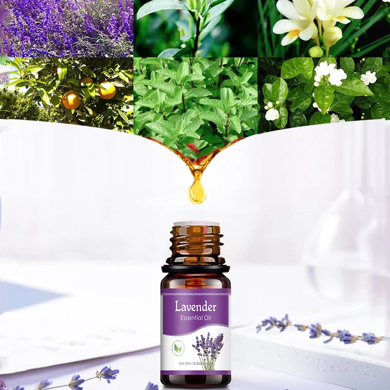 18 Geschmacks richtungen ätherische Öle für Aroma Diffusor Luftbe – Bild 5