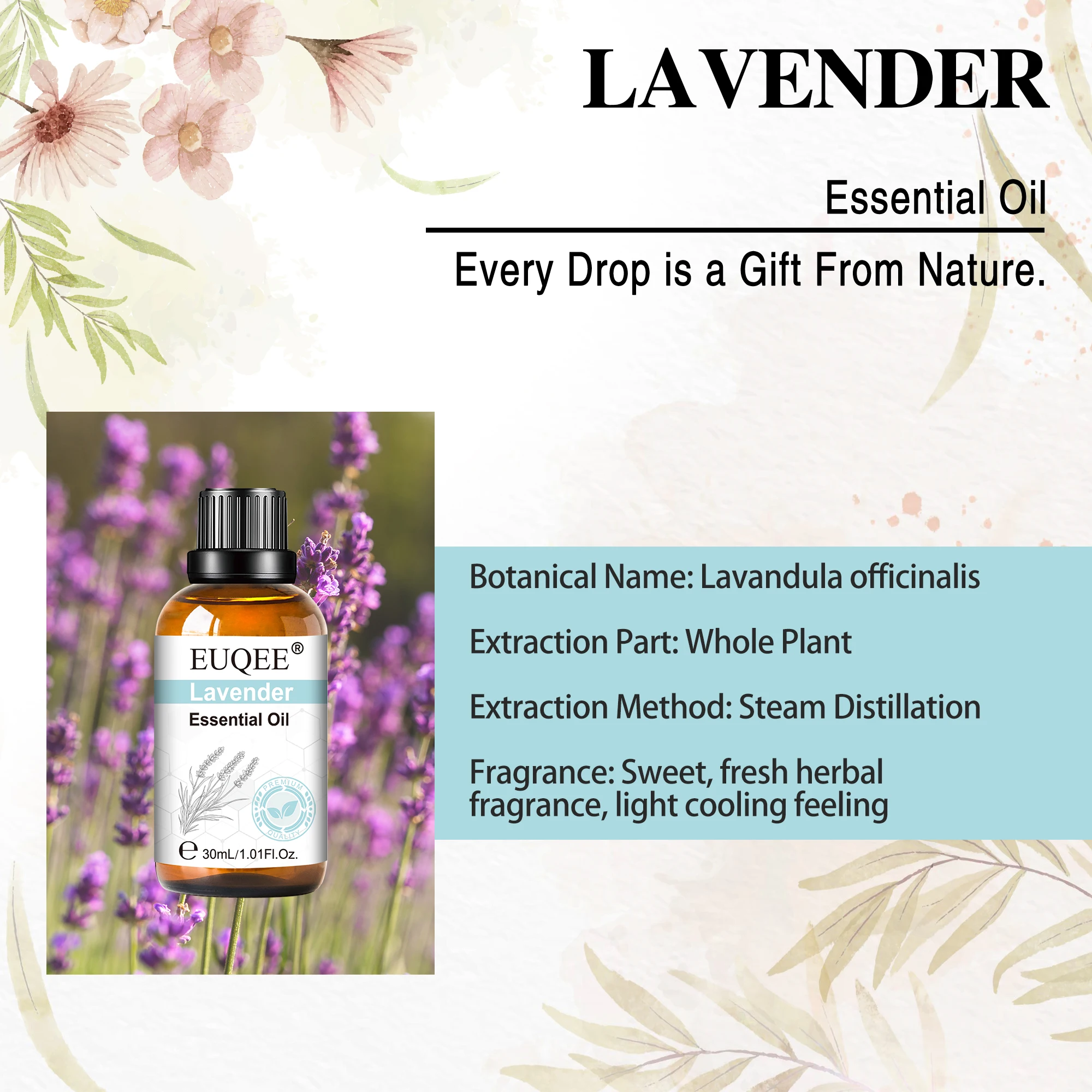 30 ml ätherisches Lavendelduftöl für Luftbefeuchter, Diffusor – Bild 2