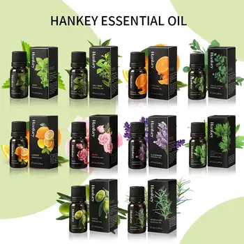 12 Geschmacksrichtungen 10 ml ätherische Öle für Aromadiffusor Luftbefeuchter Zuhause wasserlösliches